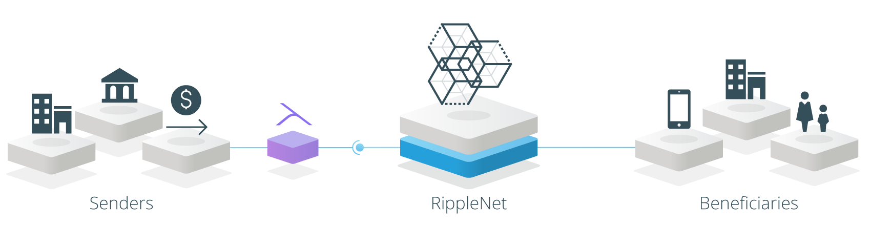 xvia ripple