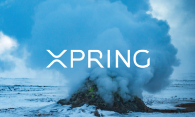 xpring ripple