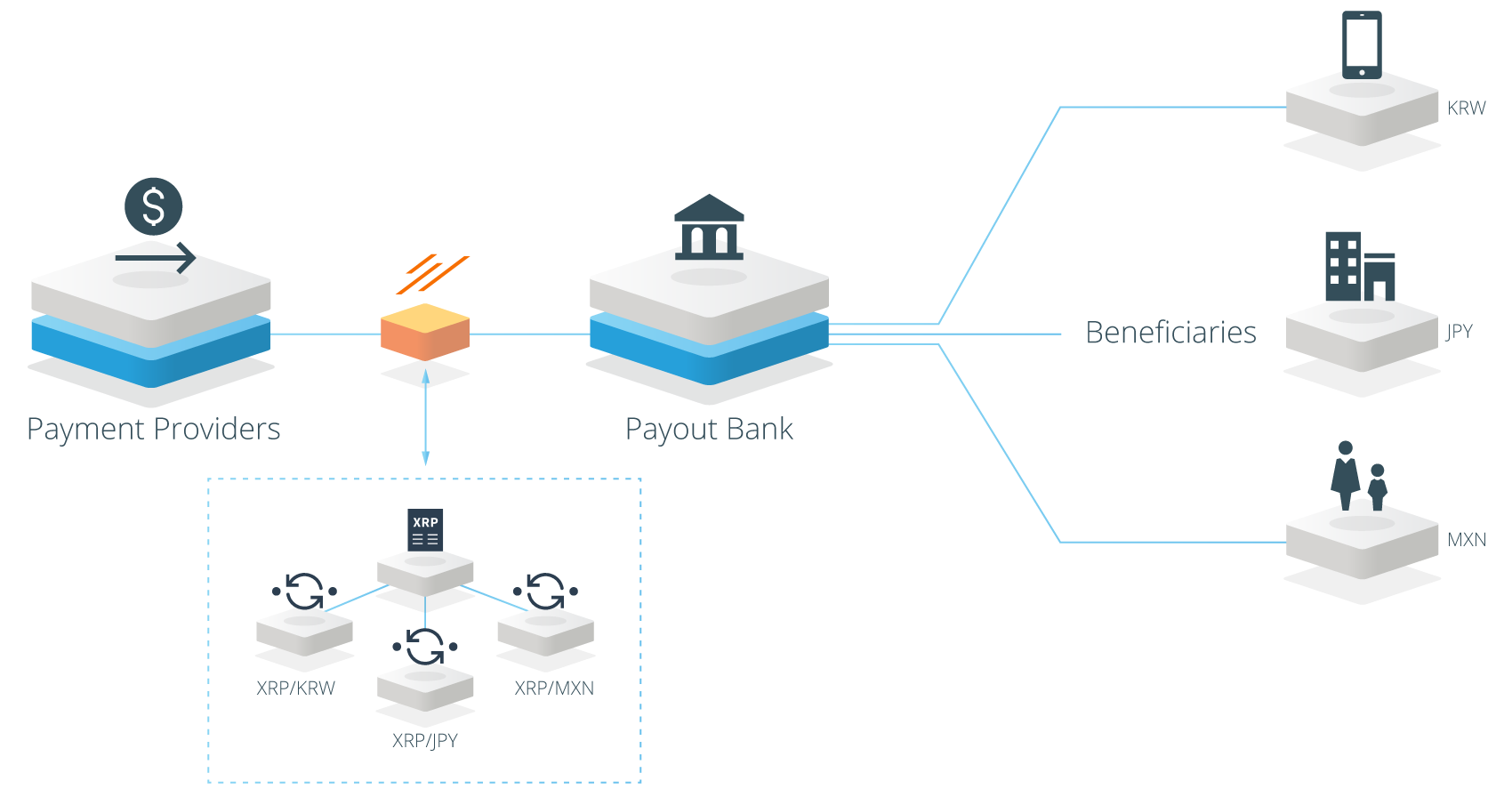   xrapid ripple 