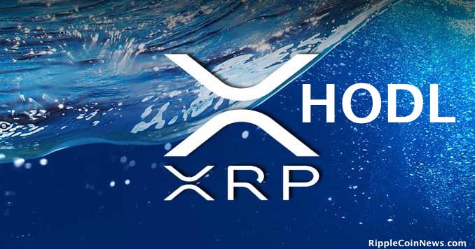 xrp hodl