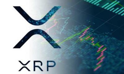 XRP Price Analysis 19