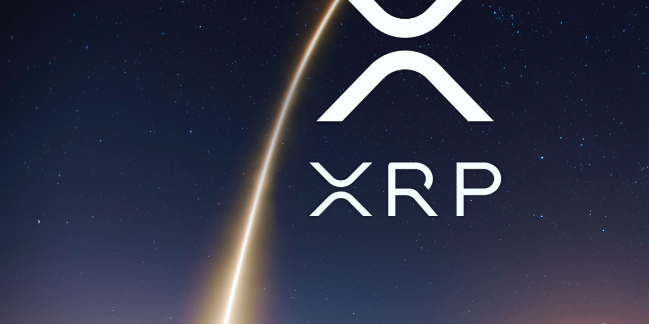 Xrp designs, themes, templates and downloadable graphic elements on Dribbble